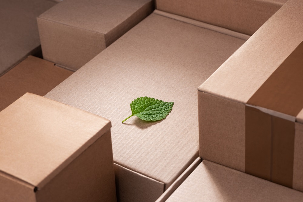 what is carbon neutral shipping